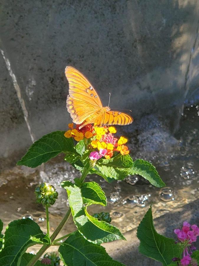 The God Spa ردينغ، كاليفورنيا المظهر الخارجي الصورة